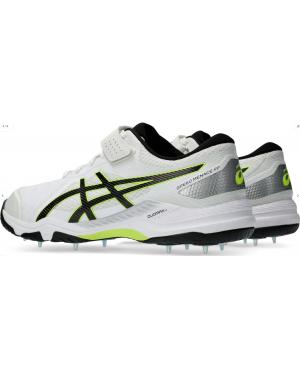 Asics 2024 Speed Menace FF Spikes Cricket Shoes