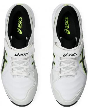 Asics 2024 Speed Menace FF Spikes Cricket Shoes